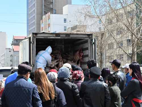 Өнөөдрөөс эхлэн нөөцийн хонины махыг гулуузаар таван цэгээр худалдаална